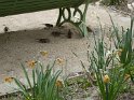 2015-04-16 15-09-49 Passages Couverts Parisiens CGn